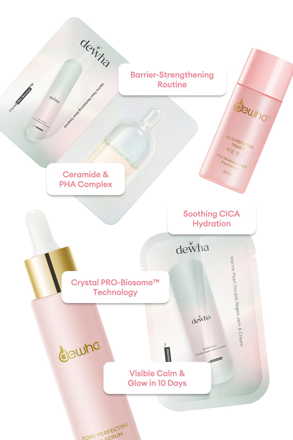 Skin Barrier Repair Starter Set
