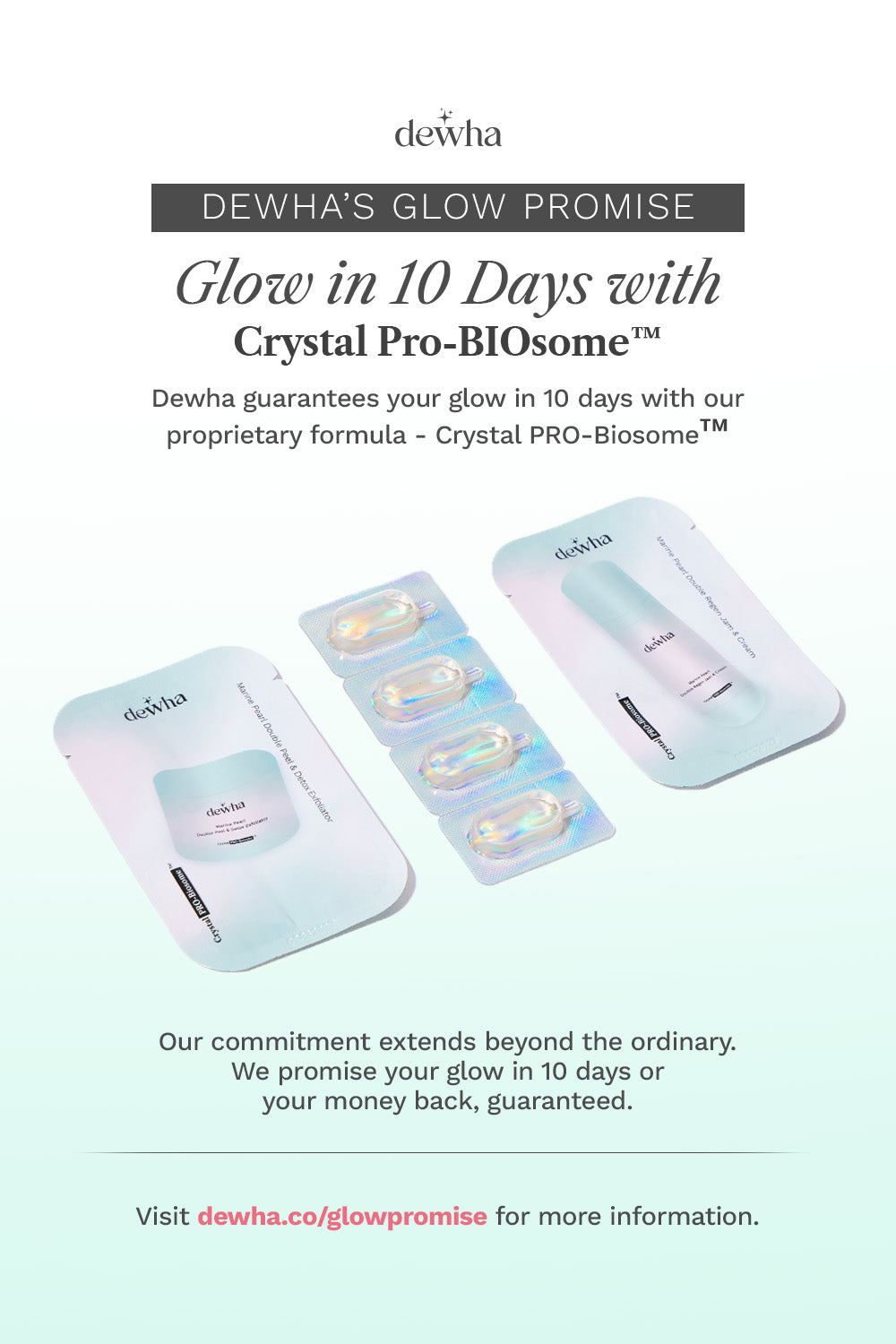 10-Day Signature Line Starter Kit